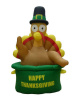 Turkey in a Pot Thanksgiving Airblown